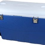 Nevera grande azul con ruedas